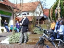 Osterbaumaktion 2007