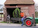 Osterbaumaktion 2008