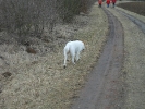 Winterwanderung 2012